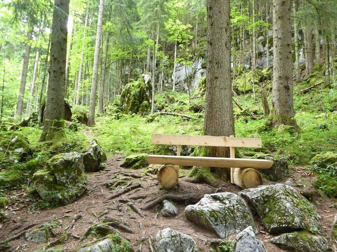 Helle Bank aus geschälten Baumstämmen im Wald. Der Wanderweg ist klein und verwurzelt. Er wird eingerahmt von großen moosbewachsenen Steinen. Im Hintergrund ist eine Felswand zu sehen.